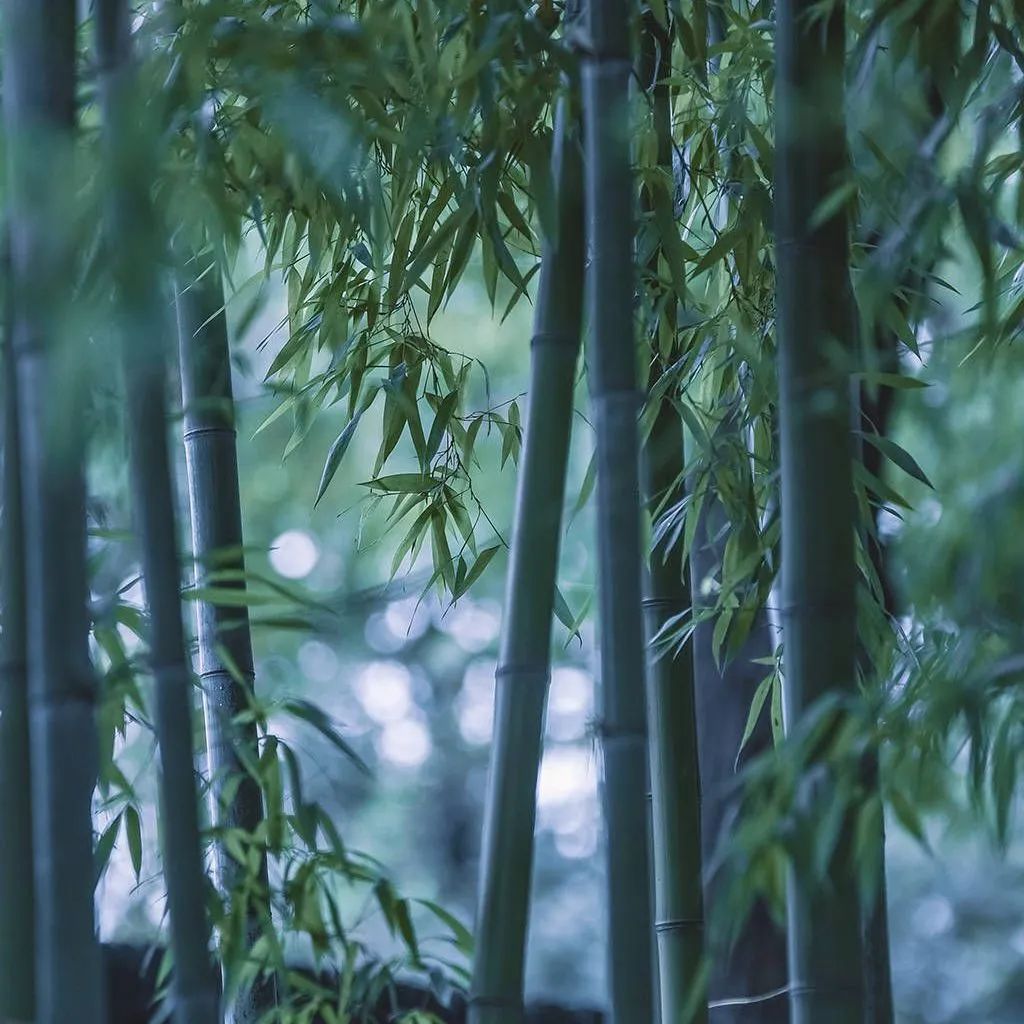 質(zhì)感?原生石系列 | 1200×1800mm密縫連紋，開創(chuàng)無限世界(圖19)